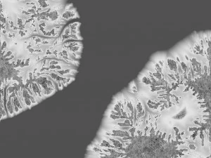 Karla Kaplı Dağ 3D Model