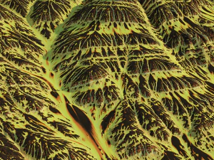 Terreno montanhoso de desenho animado Modelo 3D