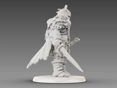 Guerreiro tecido Modelo 3D
