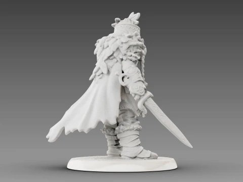 Guerreiro tecido Modelo 3D