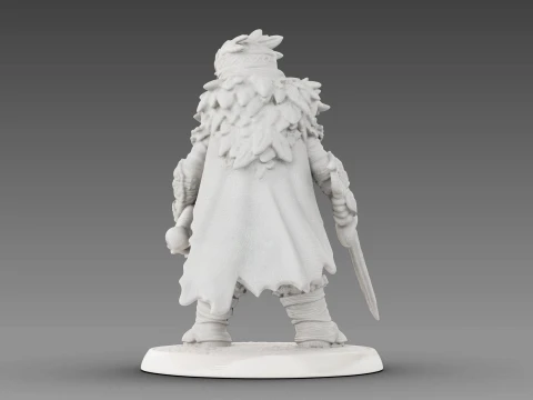 Guerreiro tecido Modelo 3D