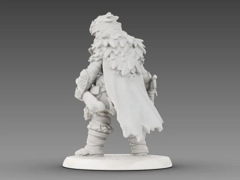 Guerreiro tecido Modelo 3D