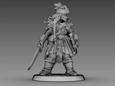 Guerreiro tecido Modelo 3D