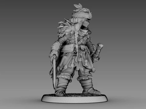 Guerreiro tecido Modelo 3D
