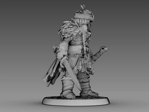 Guerreiro tecido Modelo 3D