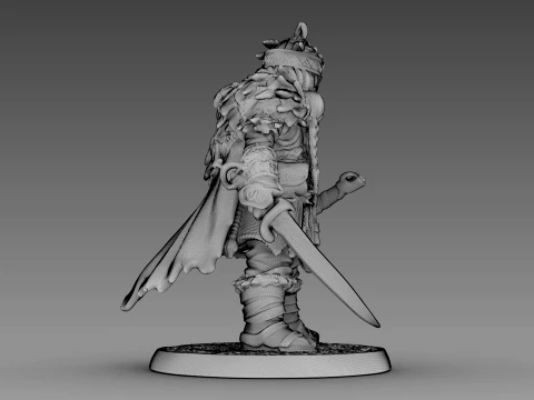 Guerreiro tecido Modelo 3D