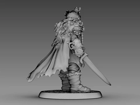 Guerreiro tecido Modelo 3D