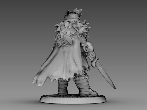 Guerreiro tecido Modelo 3D