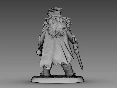 Guerreiro tecido Modelo 3D