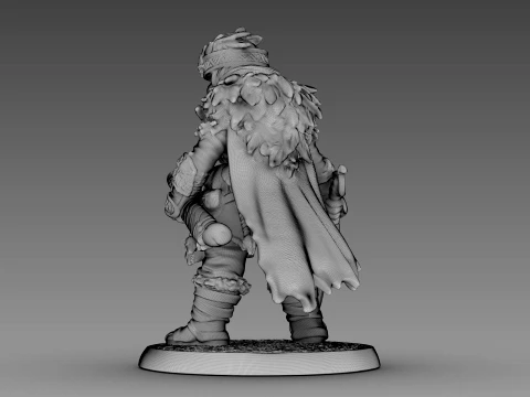 Guerreiro tecido Modelo 3D