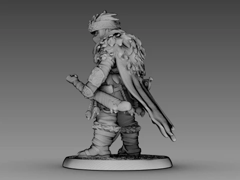 Guerreiro tecido Modelo 3D