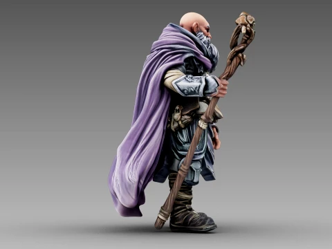 The Wandering Greybeard 3D Model