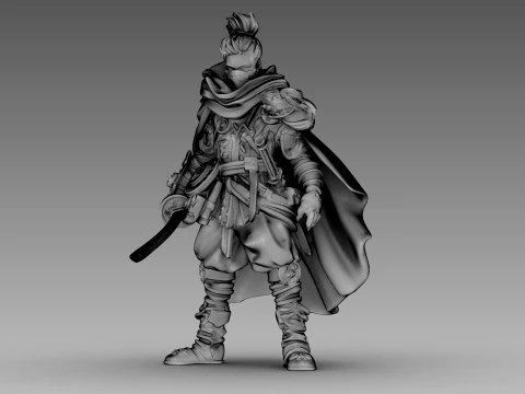 Steel Shadow Warrior 3D Model