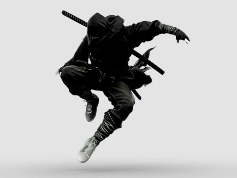 Ninja Shadow Leap 3D Model