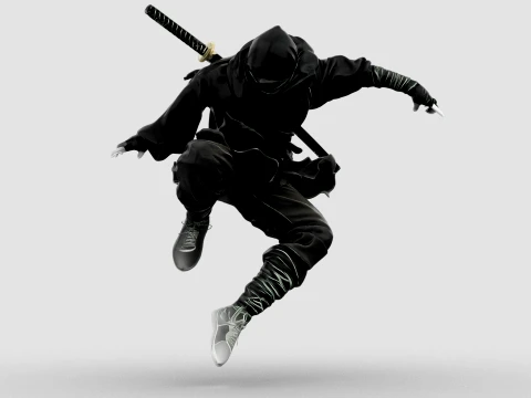 Ninja Shadow Leap 3D Model