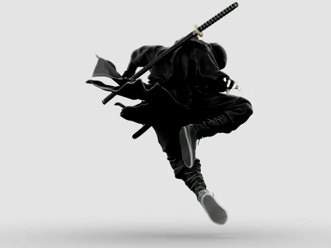 Ninja Shadow Leap 3D Model