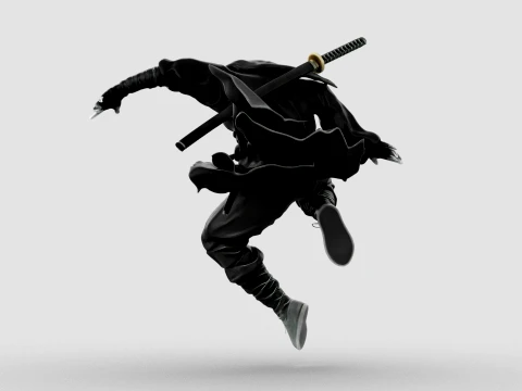 Ninja Shadow Leap 3D Model