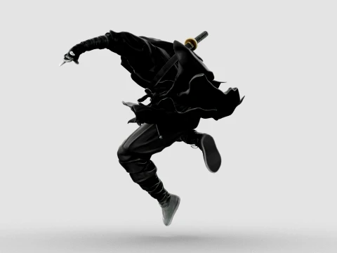 Ninja Shadow Leap 3D Model