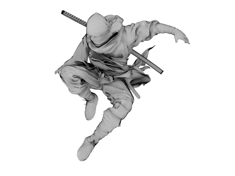 Ninja Shadow Leap 3D Model