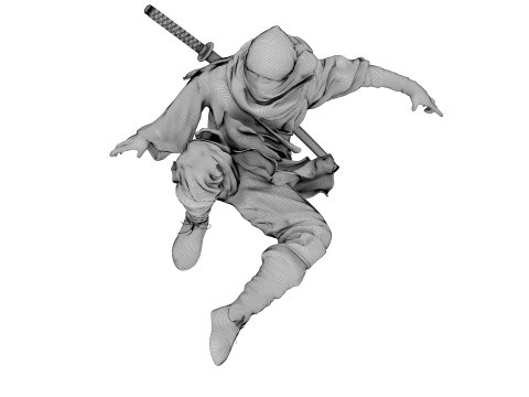 Ninja Shadow Leap 3D Model