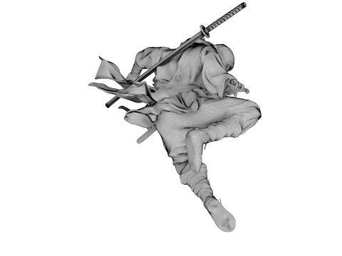 Ninja Shadow Leap 3D Model