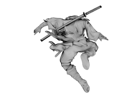 Ninja Shadow Leap 3D Model