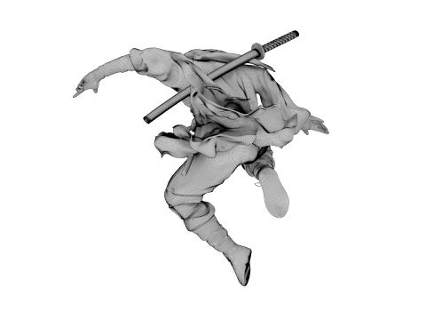 Ninja Shadow Leap 3D Model