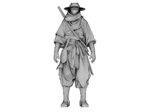 Desert Shadow Warrior 3D Model
