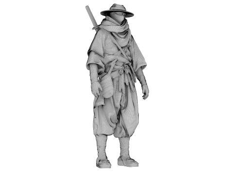 Desert Shadow Warrior 3D Model