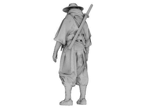 Desert Shadow Warrior 3D Model