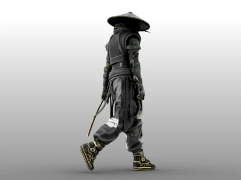 Guerreiro das Sombras de Ferro Modelo 3D
