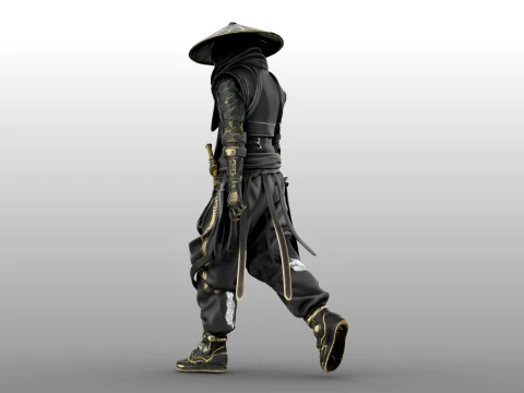 Guerreiro das Sombras de Ferro Modelo 3D