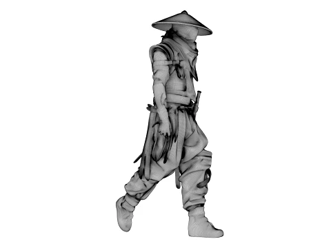 Guerreiro das Sombras de Ferro Modelo 3D