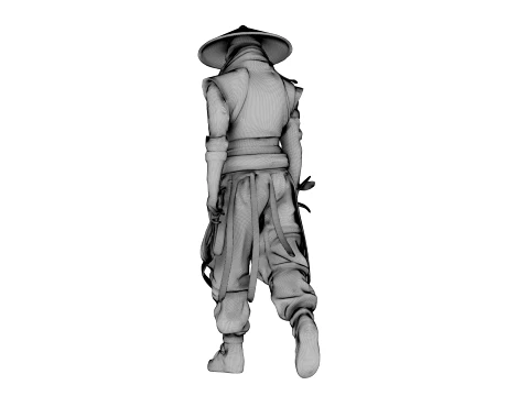 Guerreiro das Sombras de Ferro Modelo 3D