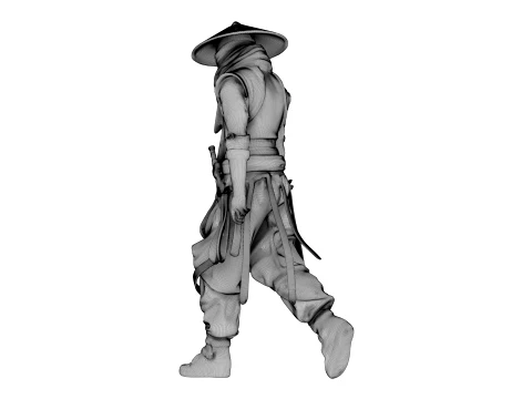 Guerreiro das Sombras de Ferro Modelo 3D