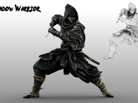 Ninja Guerriero Ombra Modello 3D