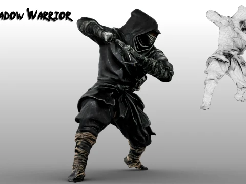 Ninja Shadow Warrior 3D Model