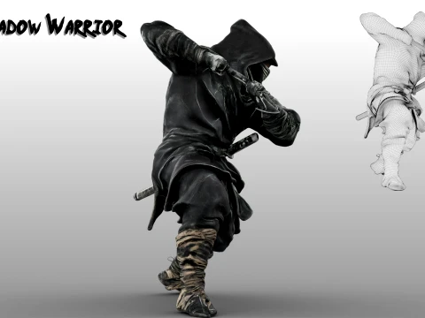 Ninja Shadow Warrior 3D Model
