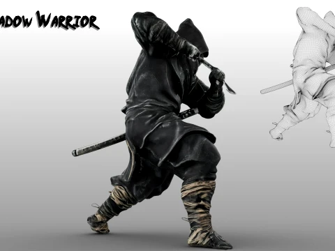 Ninja Shadow Warrior 3D Model