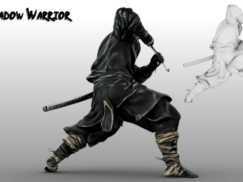Ninja Shadow Warrior 3D Model