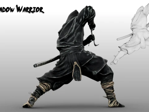 Ninja Shadow Warrior 3D Model