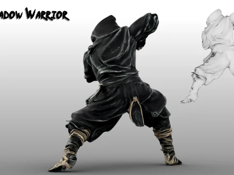 Ninja Shadow Warrior 3D Model