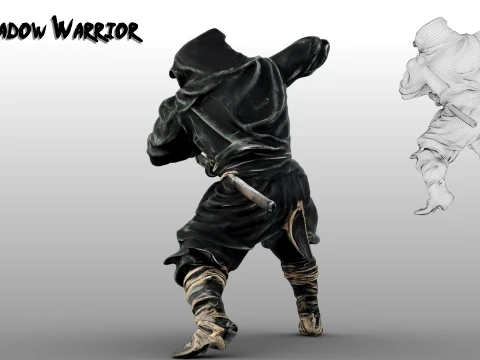 Ninja Shadow Warrior 3D Model