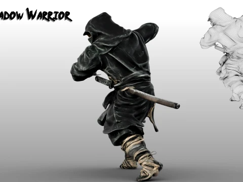 Ninja Shadow Warrior 3D Model