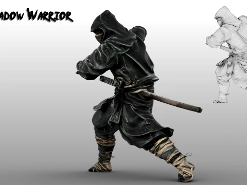 Ninja Shadow Warrior 3D Model