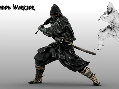 Ninja Shadow Warrior 3D Model