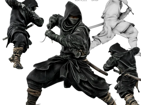 Ninja Shadow Warrior 3D Model