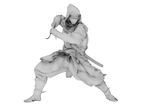 Ninja Shadow Warrior 3D Model