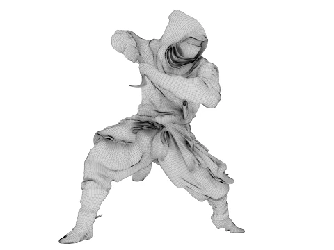 Ninja Shadow Warrior 3D Model