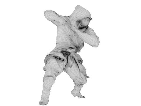 Ninja Shadow Warrior 3D Model